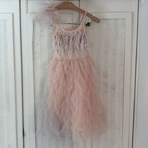 Tutu Du Monde beaded and featherSequin Layered Tutu PINK and gray Size 6 / 7